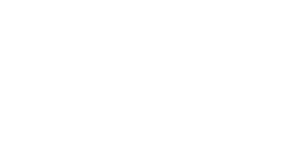 Triaxe Store Logo