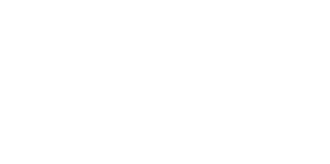 Triaxe Store Logo