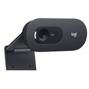 LOGITECH Webcam C505E vue 1